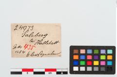 Etiketten zu Perlenkette (NHMW-PRAE-024973)